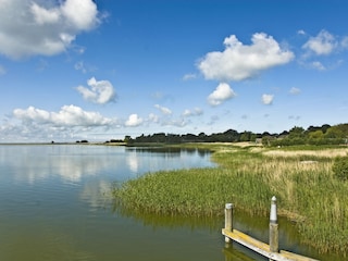 der Koppelstrom - hinterm Haus