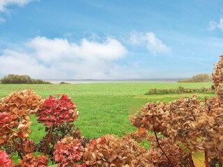 Appartamento Falsled  10