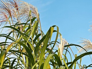Ferienhaus Olpenitz  25