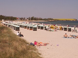 Strand an der Seebrücke