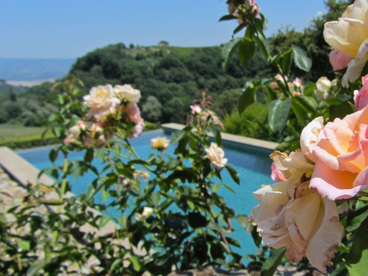 Pool mit Rosen