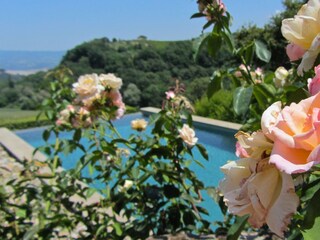 Vakantiehuis Orvieto Buitenaudio-opname 6