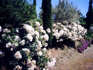 Vakantiehuis Orvieto Buitenaudio-opname 7