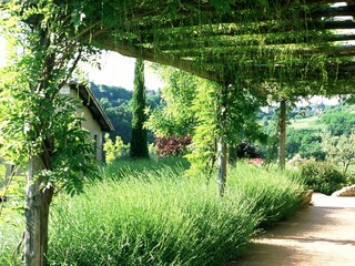 Vakantiehuis Orvieto Buitenaudio-opname 9