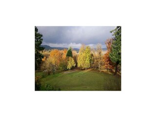 Chalet Raon-l'Étape Environnement 25