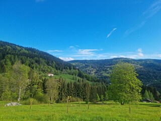 Chalet Raon-l'Étape Ambiente 33