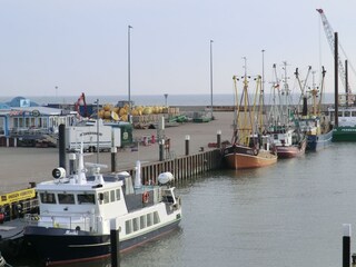 Casa de vacaciones Hooksiel Entorno 17