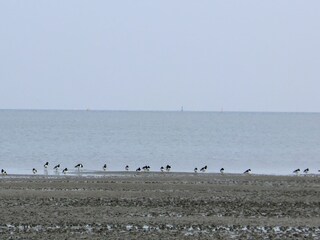 Casa per le vacanze Hooksiel Ambiente 19