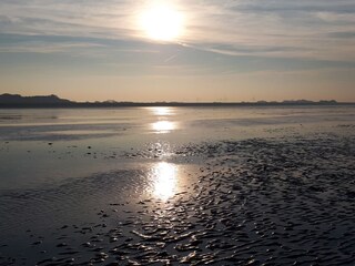 das Wattenmeer in der Abendsonne