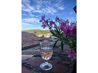 Vakantiehuis La Garde-Freinet Buitenaudio-opname 3