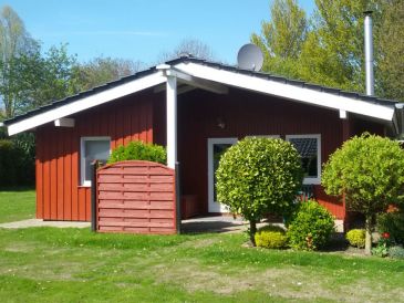 Ferienhaus "Am Deich"