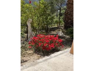 Finca Parcent Features 24