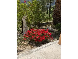 Tenuta Parcent Caratteristiche 24