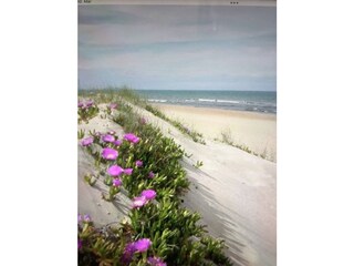 Tenuta Parcent Ambiente 32