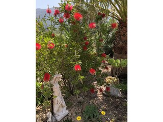 Finca Parcent Buitenaudio-opname 11