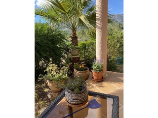 Finca Parcent Buitenaudio-opname 12