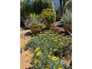Finca Parcent Buitenaudio-opname 13