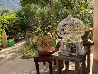 Finca Parcent Outdoor Recording 12