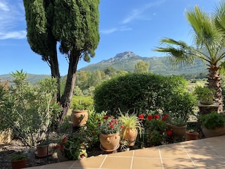 Blick von der Terrasse