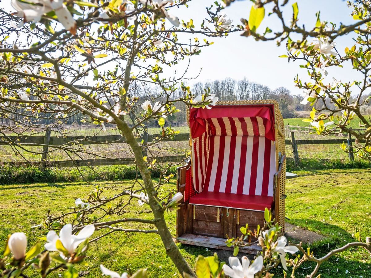 Strandkorb im Garten