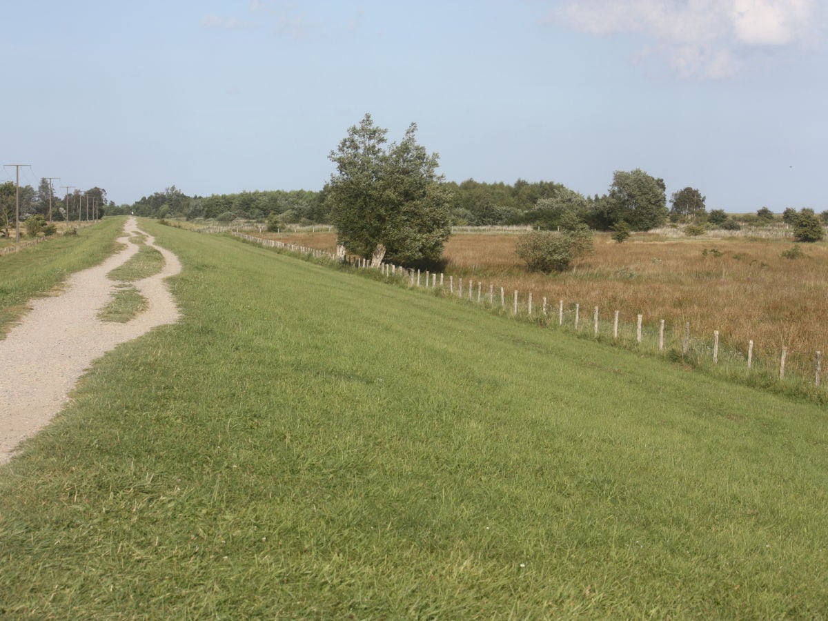 Fahrradfahren auf dem Deich