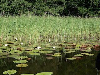 Auf dem Useriner See