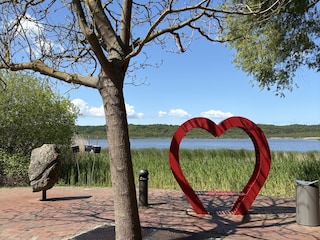 Ausblick zum Schmachter See