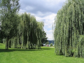 Ferienwohnung Bodman-Ludwigshafen  17