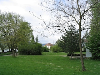 Ferienwohnung Bodman-Ludwigshafen  18