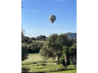Casa per le vacanze Sineu Ambiente 33