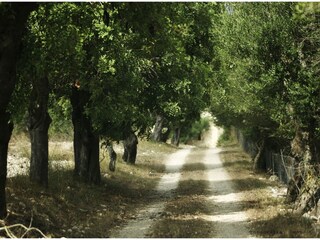 Casa per le vacanze Sineu Ambiente 22