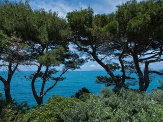Appartamento per vacanze Monte Argentario Ambiente 26