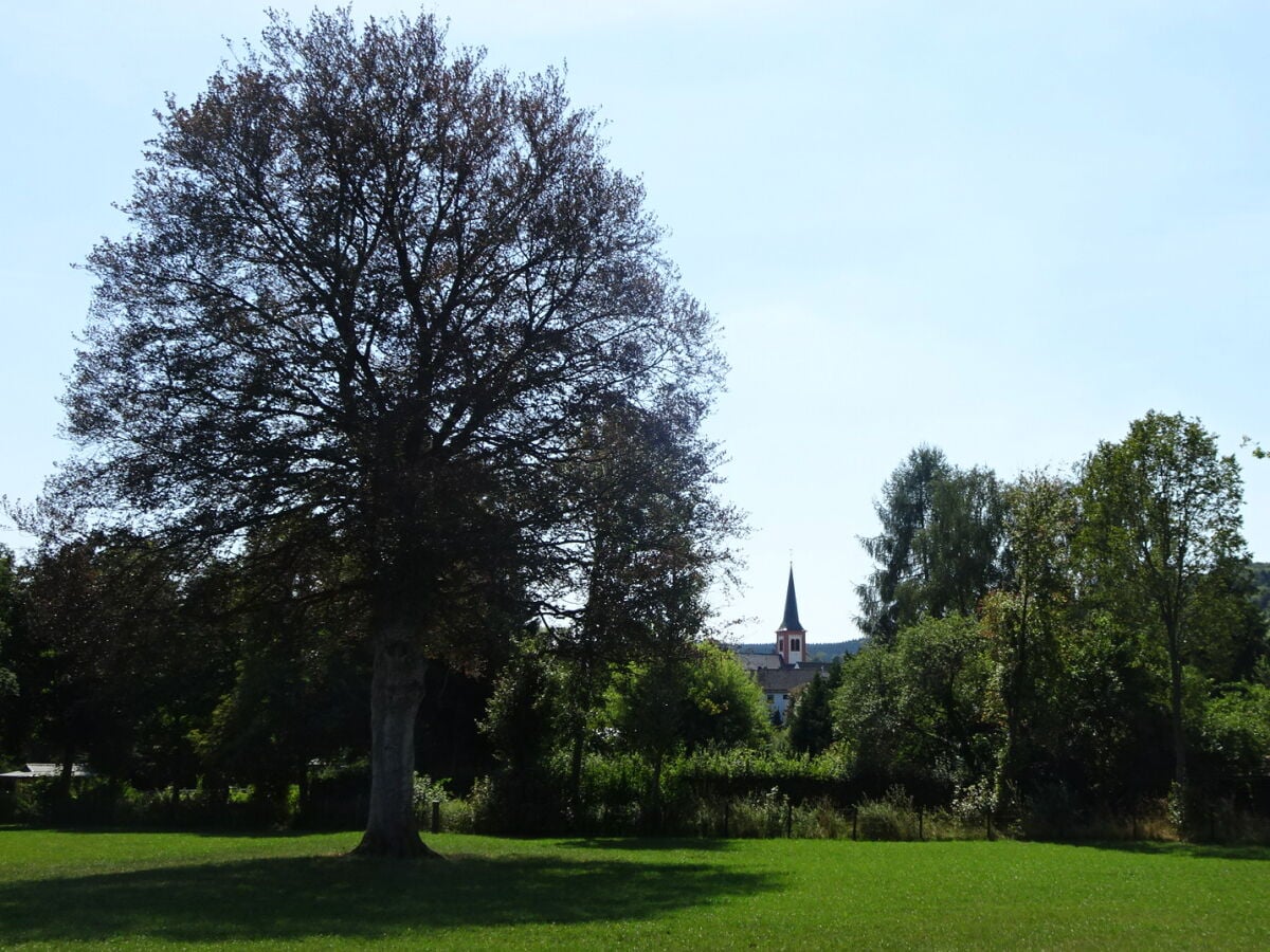 Hinter unserem Garten die Kyllgärten Blick auf die Kirc