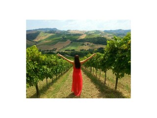 Casa per le vacanze Montefiore dell Aso Documento 42