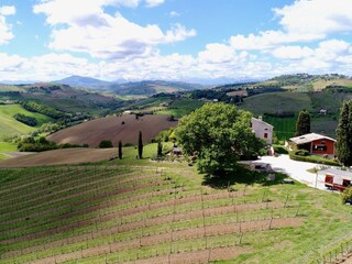 Casa per le vacanze Montefiore dell Aso Documento 43