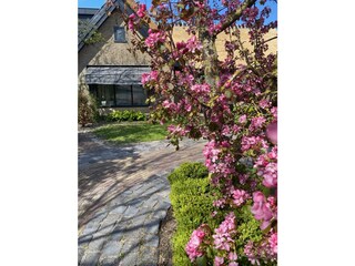 Appartamento per vacanze Camperduin Registrazione all'aperto 5