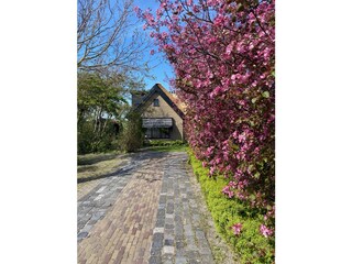 Vakantieappartement Camperduin Buitenaudio-opname 2
