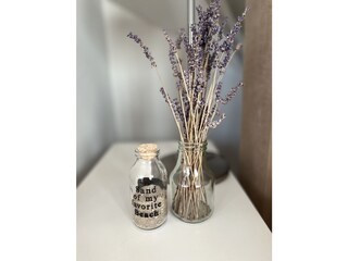 Appartamento per vacanze Camperduin Caratteristiche 15