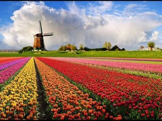 Appartamento per vacanze Camperduin Ambiente 25