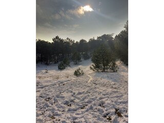 Appartamento per vacanze Camperduin Ambiente 24