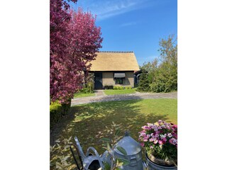 Appartamento per vacanze Camperduin Registrazione all'aperto 2