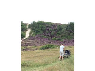 Appartamento per vacanze Camperduin Ambiente 16