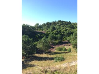 Appartamento per vacanze Camperduin Ambiente 17