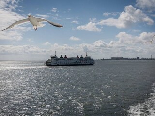 Appartamento per vacanze Camperduin Ambiente 20