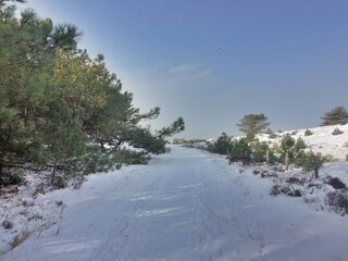 Appartamento per vacanze Camperduin Ambiente 19