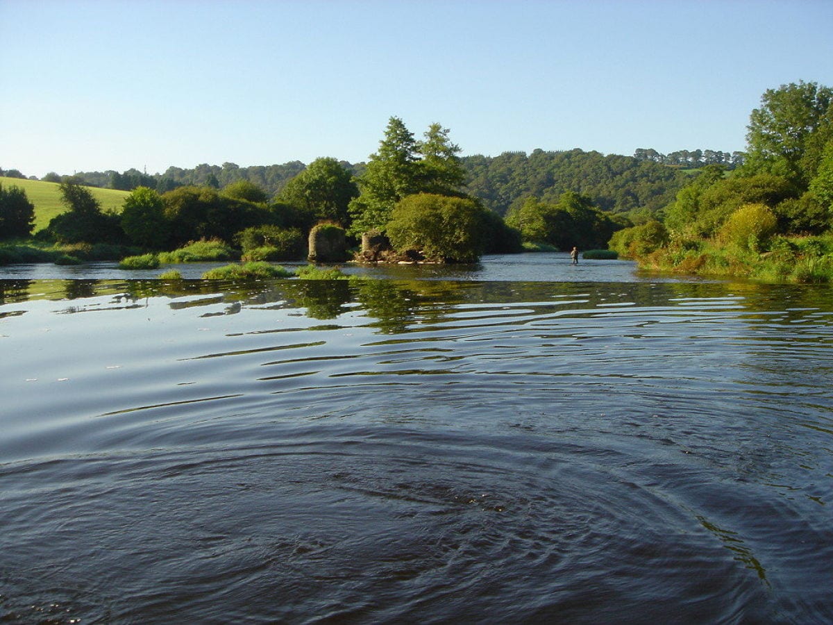 Fluss in der Nähe