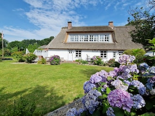 Blick in den wunderschönen Garten