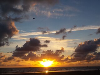 Casa per le vacanze Julianadorp Ambiente 17