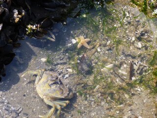 Casa per le vacanze Julianadorp Ambiente 19