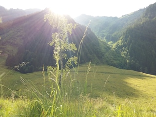 Berghütte Kleinsölk Dokument 9